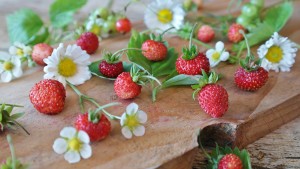 strawberries-1463806_1280
